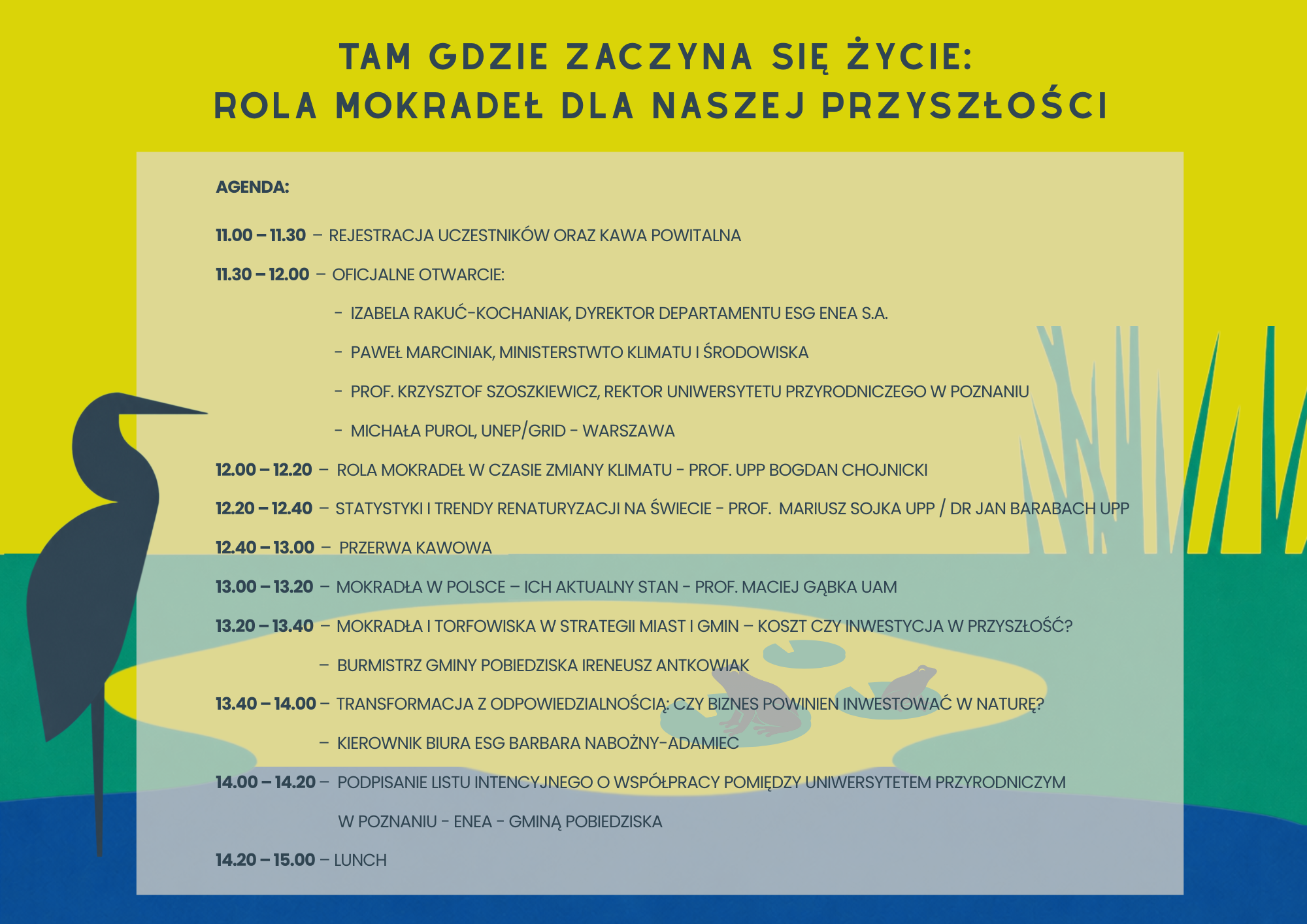 Agenda - Mokradła