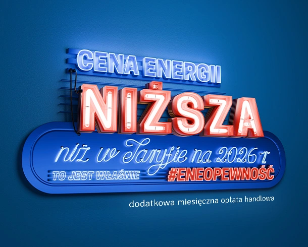 To jest właśnie EneoPewność